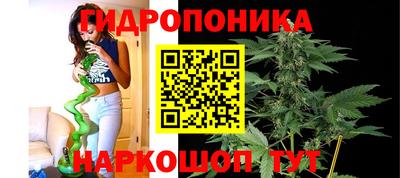 тгк Будённовск