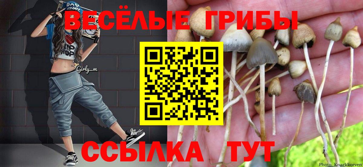 Галлюциногенные грибы Magic Shrooms Ялта